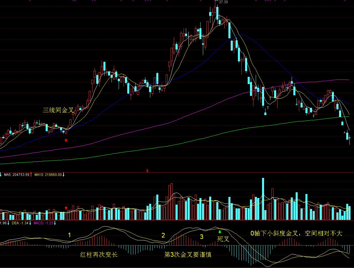 中物联：上半年全国社会物流总额171.3万亿元 同比增长5.6%